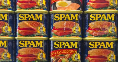 3 types of spam – But let’s talk Rank Math SEO scores Tins of spam